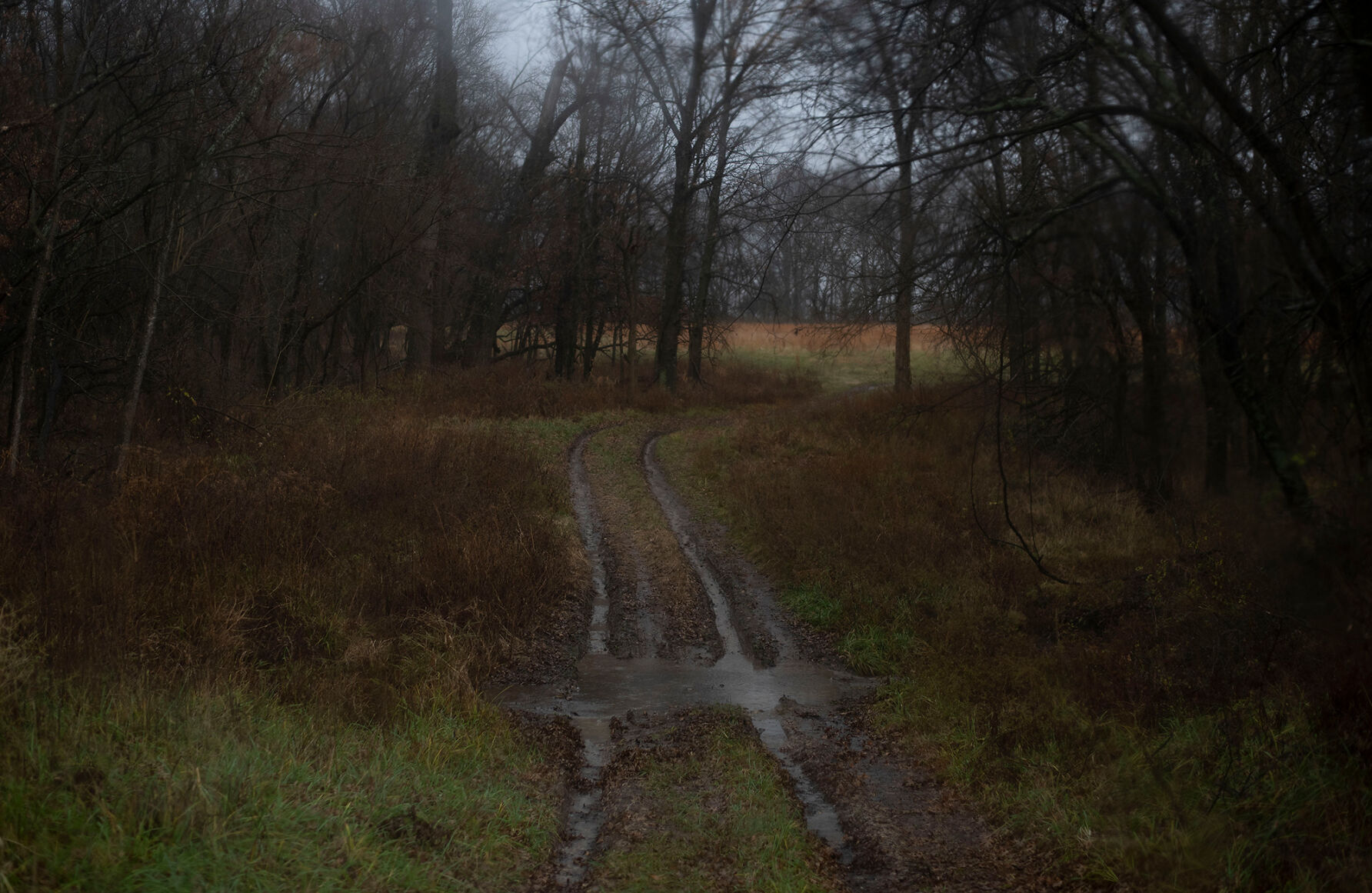 Truck tracks are etched into the mud